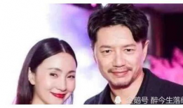 娱乐圈明星吃瓜合集,盘点那些年我们追过的热点事件