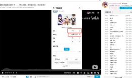 哔哩哔哩视频下载工具,轻松获取心仪内容